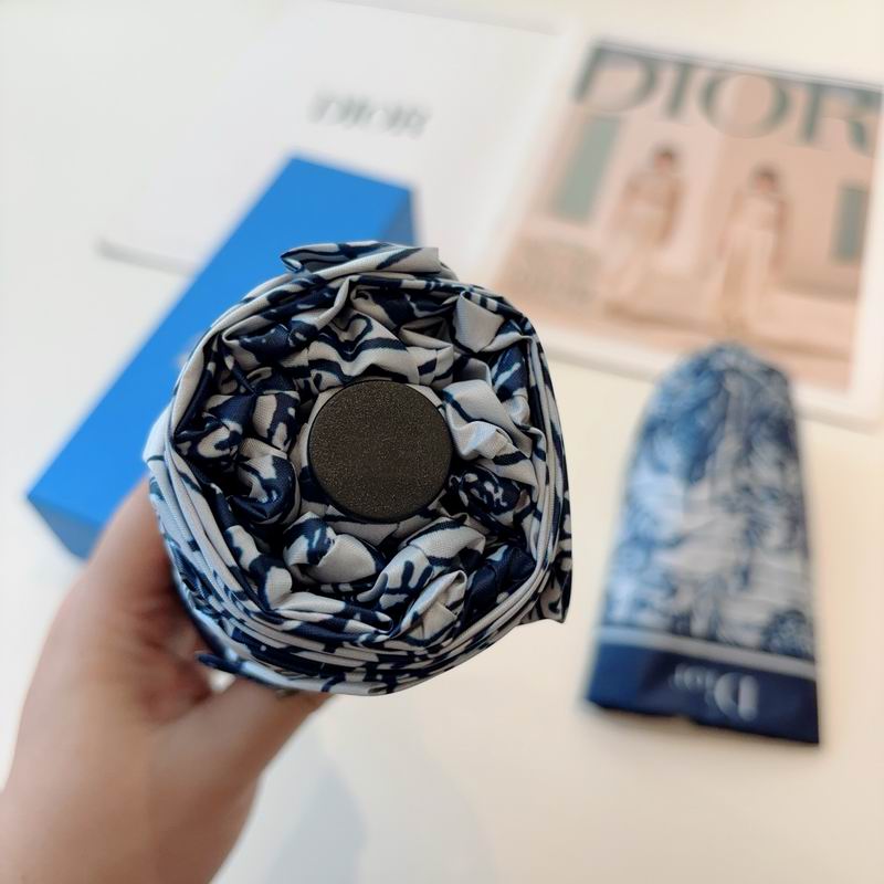 Dior Umbrella (79)