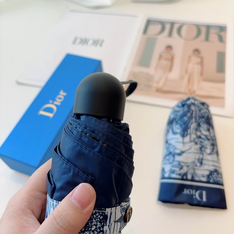 Dior Umbrella (80)