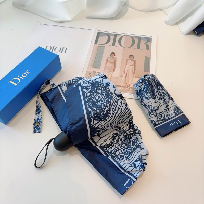 Dior Umbrella (81)