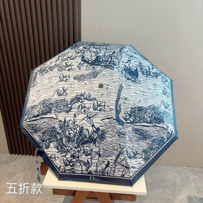 Dior Umbrella (82)