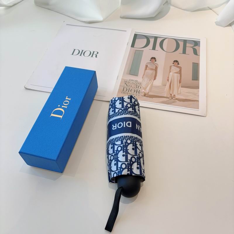 Dior Umbrella (85)