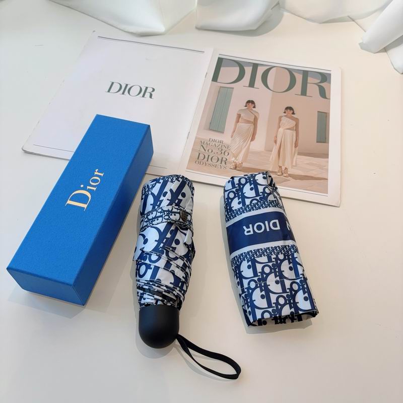 Dior Umbrella (86)