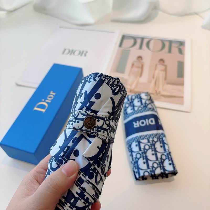 Dior Umbrella (87)