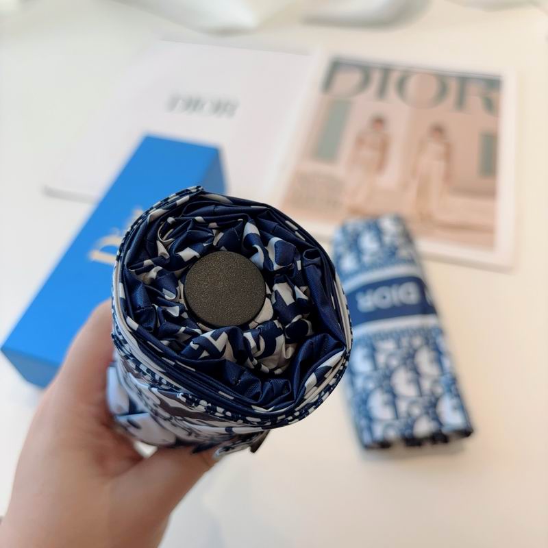 Dior Umbrella (88)