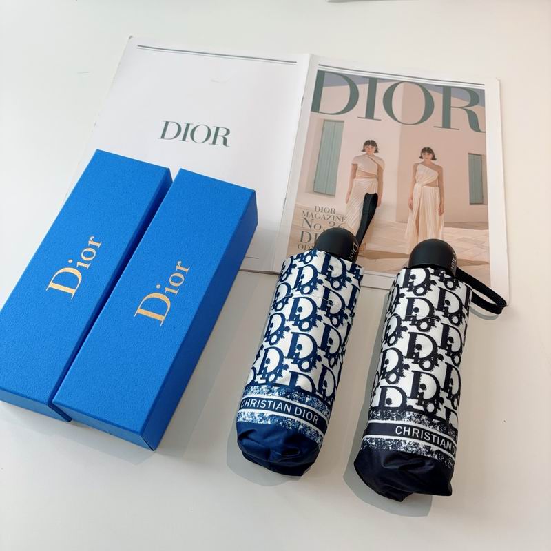 Dior Umbrella (94)