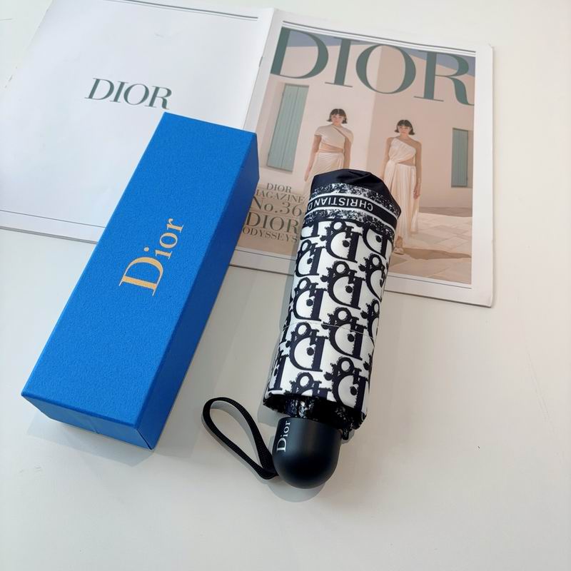 Dior Umbrella (95)