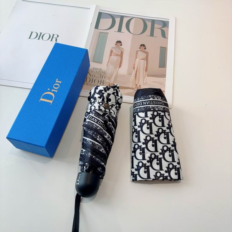 Dior Umbrella (96)