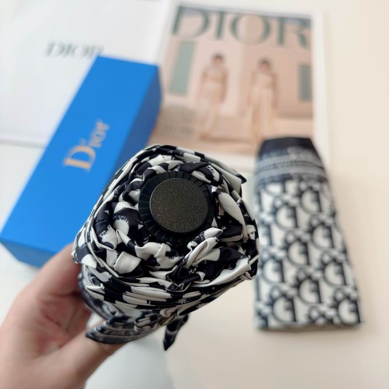 Dior Umbrella (98)