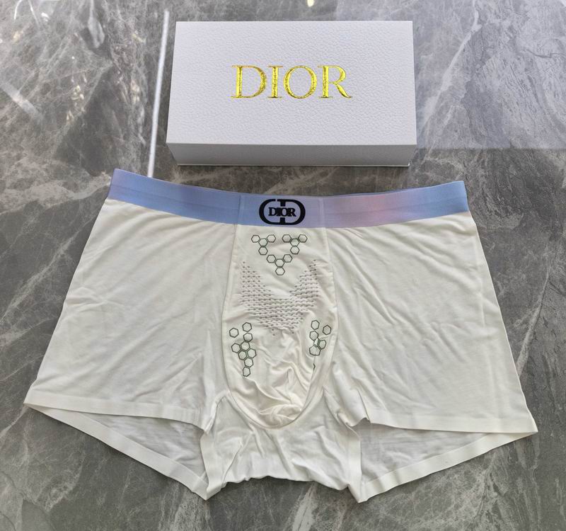 Dior boxer L-4XL 14 (4)