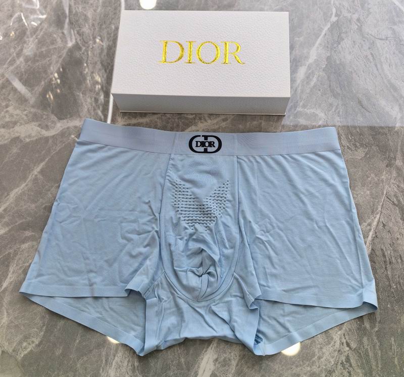 Dior boxer L-4XL 14 (5)