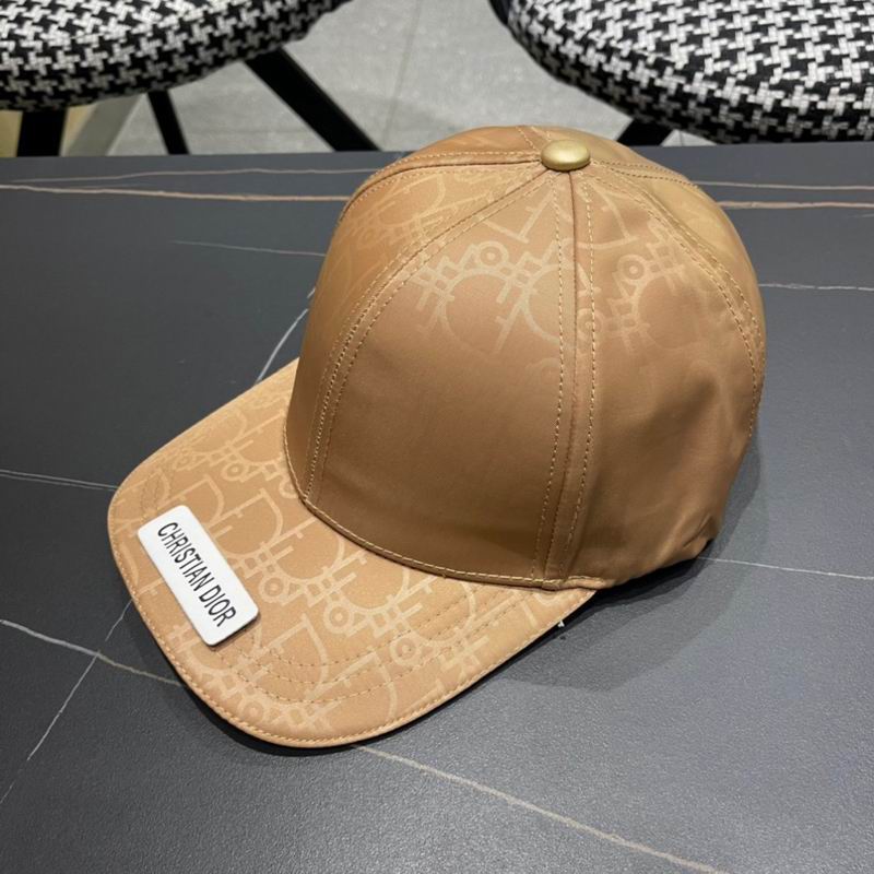Dior cap (117)
