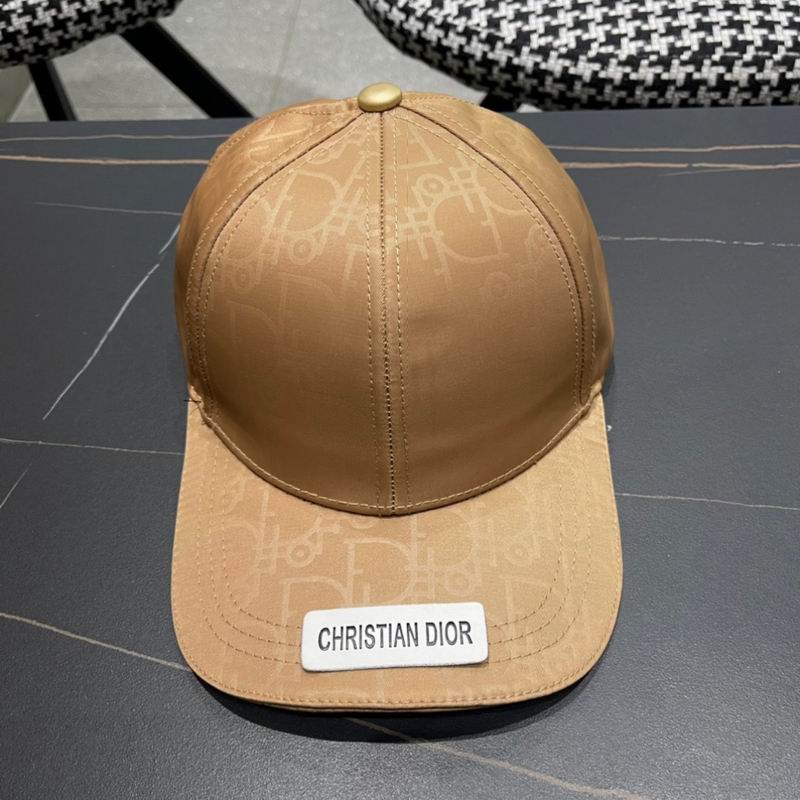 Dior cap (118)