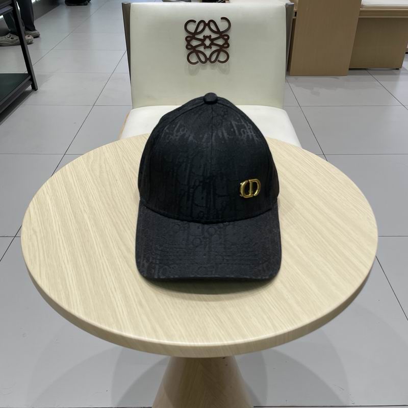 Dior cap (127)