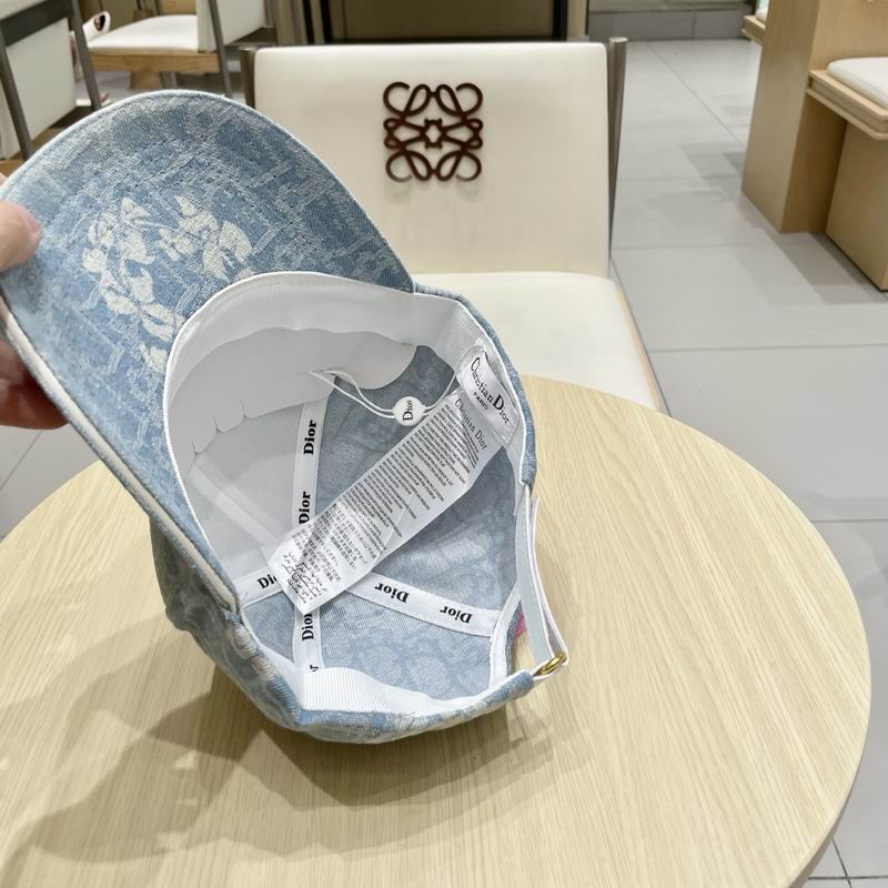 Dior cap (173)