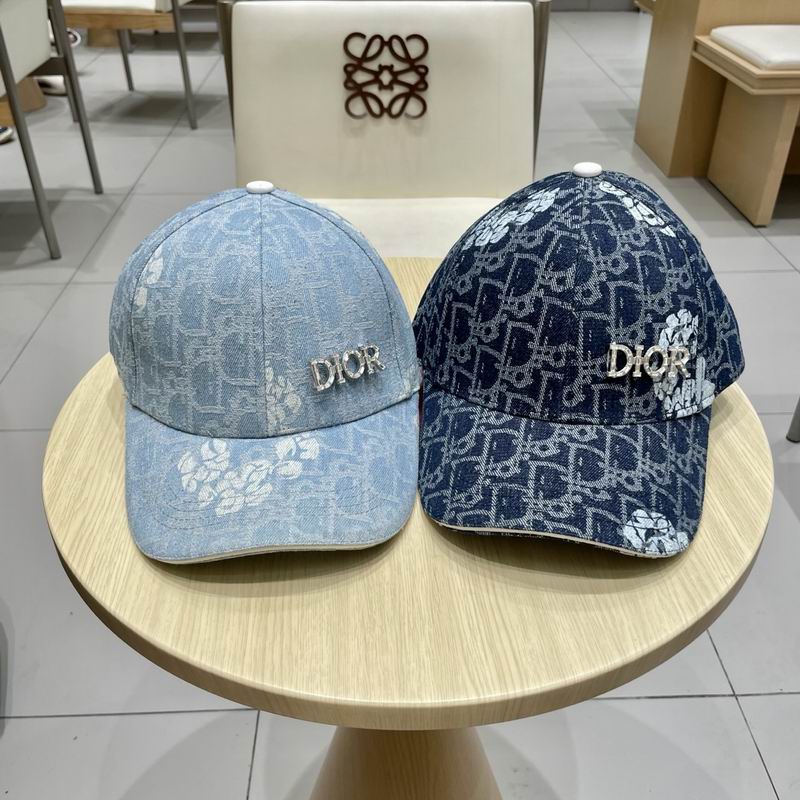 Dior cap (177)