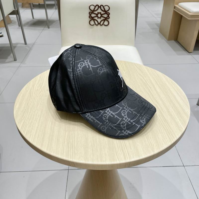 Dior cap (197)