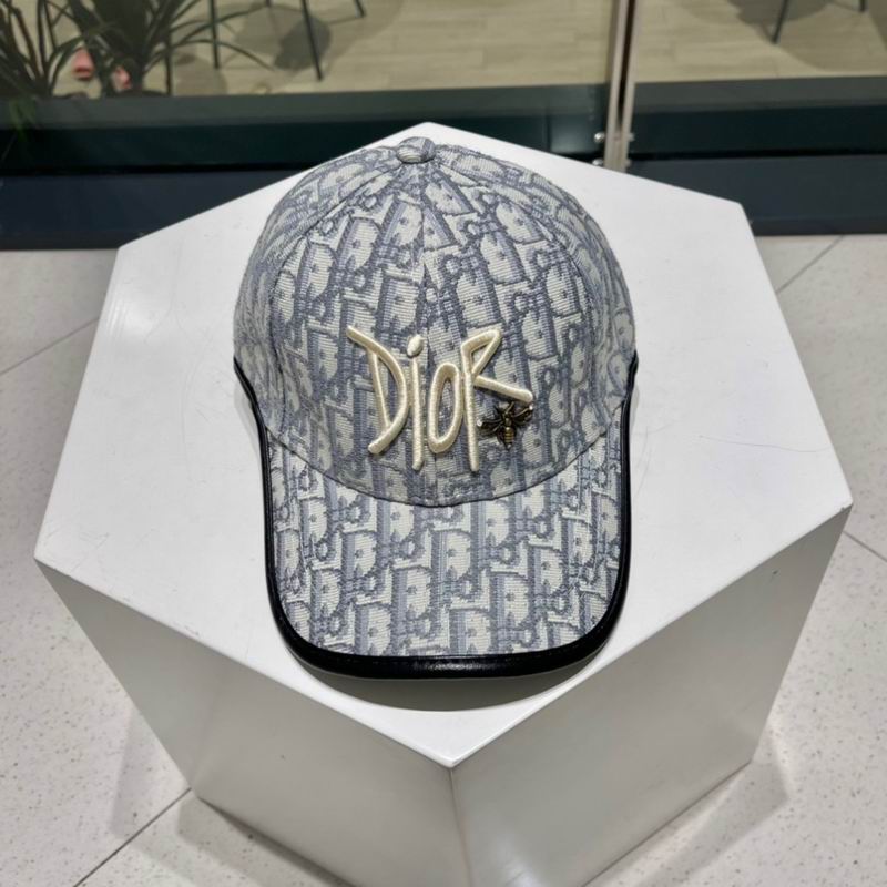 Dior cap (291)
