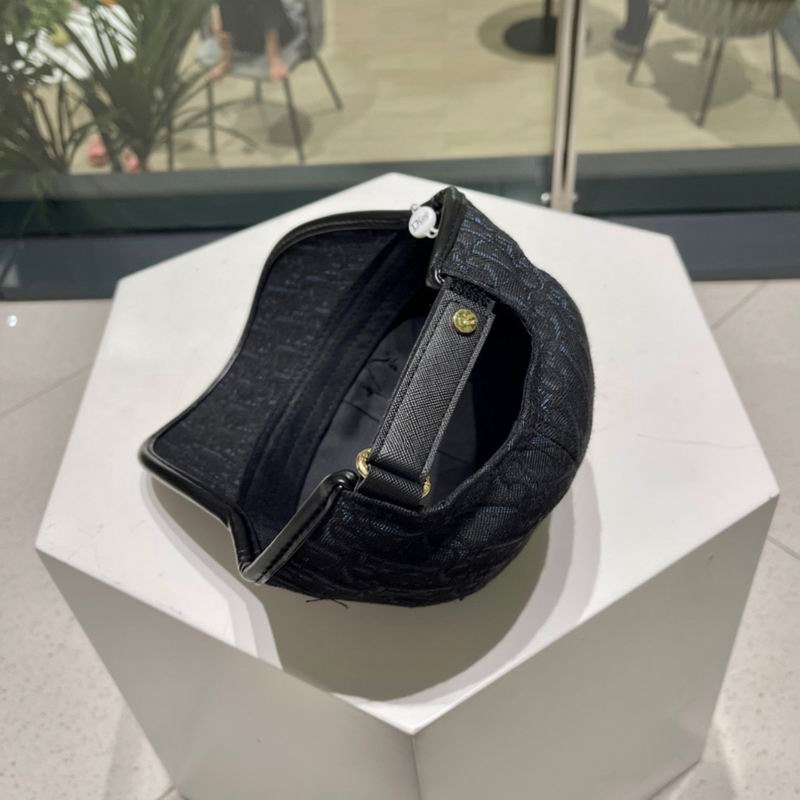Dior cap (296)