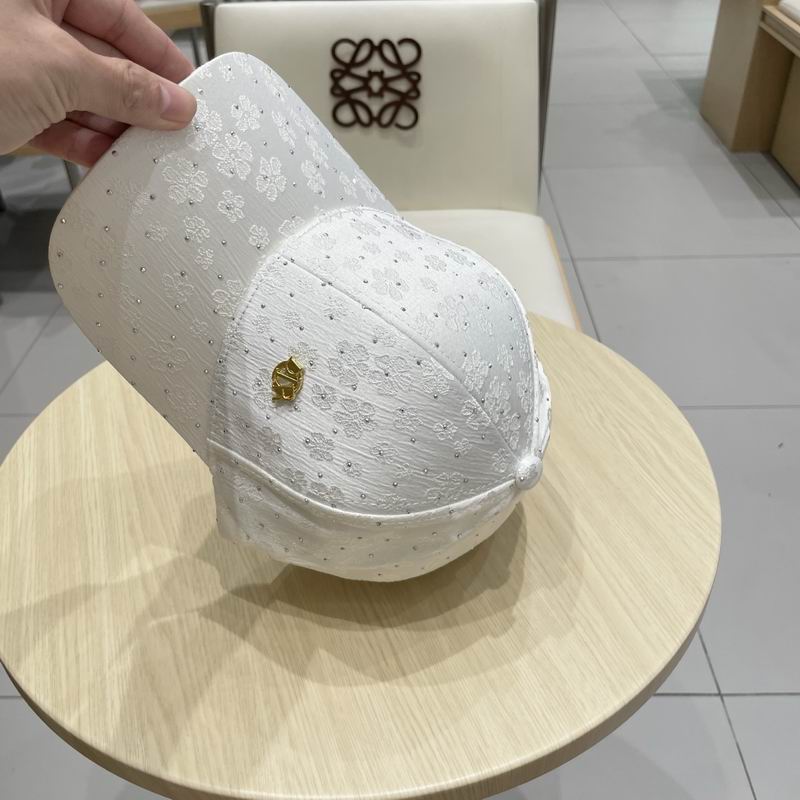 Dior cap (327)