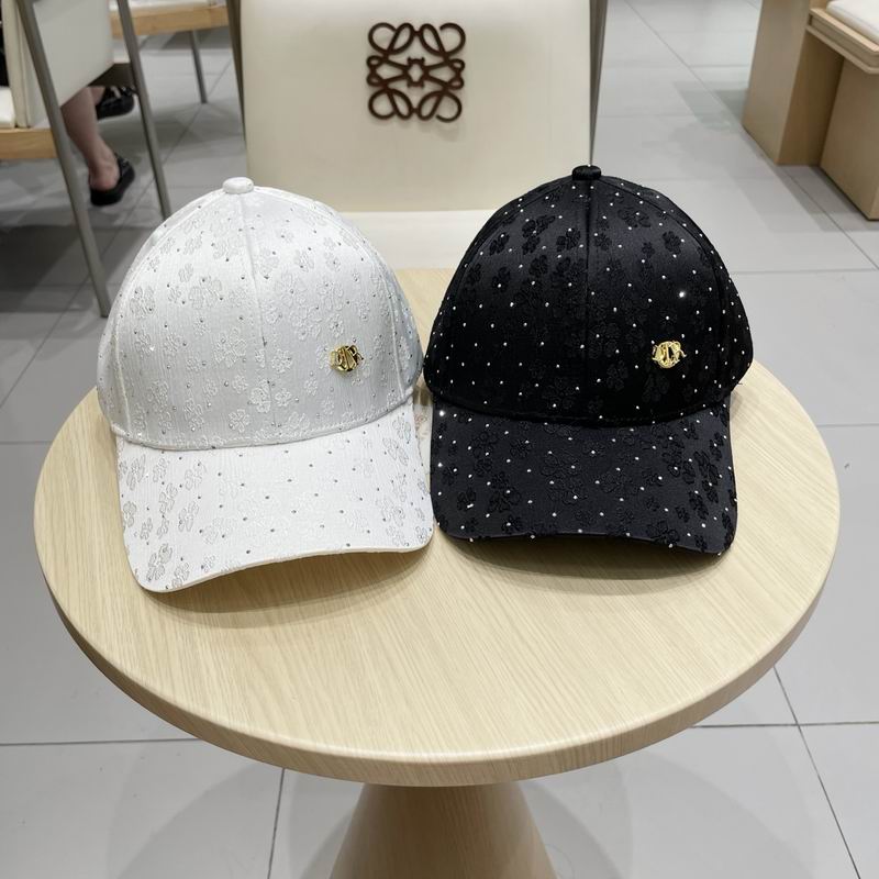 Dior cap (329)