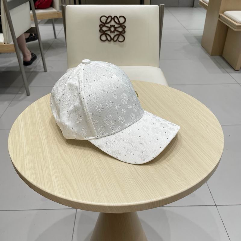 Dior cap (331)