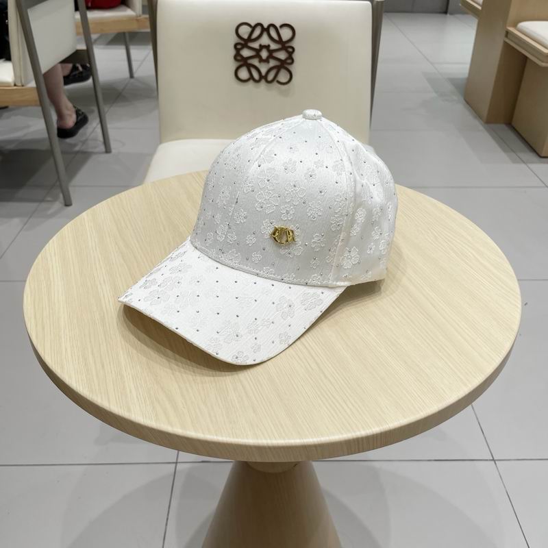 Dior cap (332)