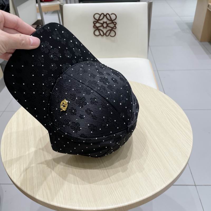Dior cap (337)