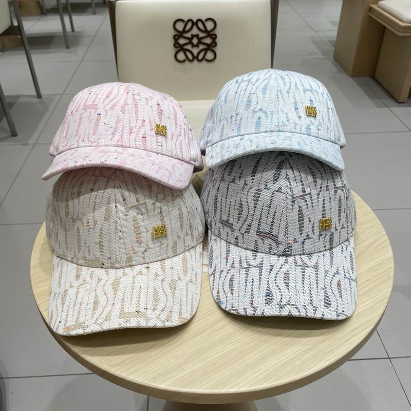 Dior cap (347)