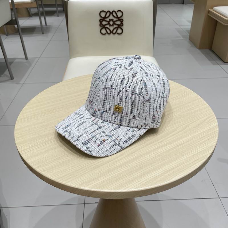 Dior cap (350)