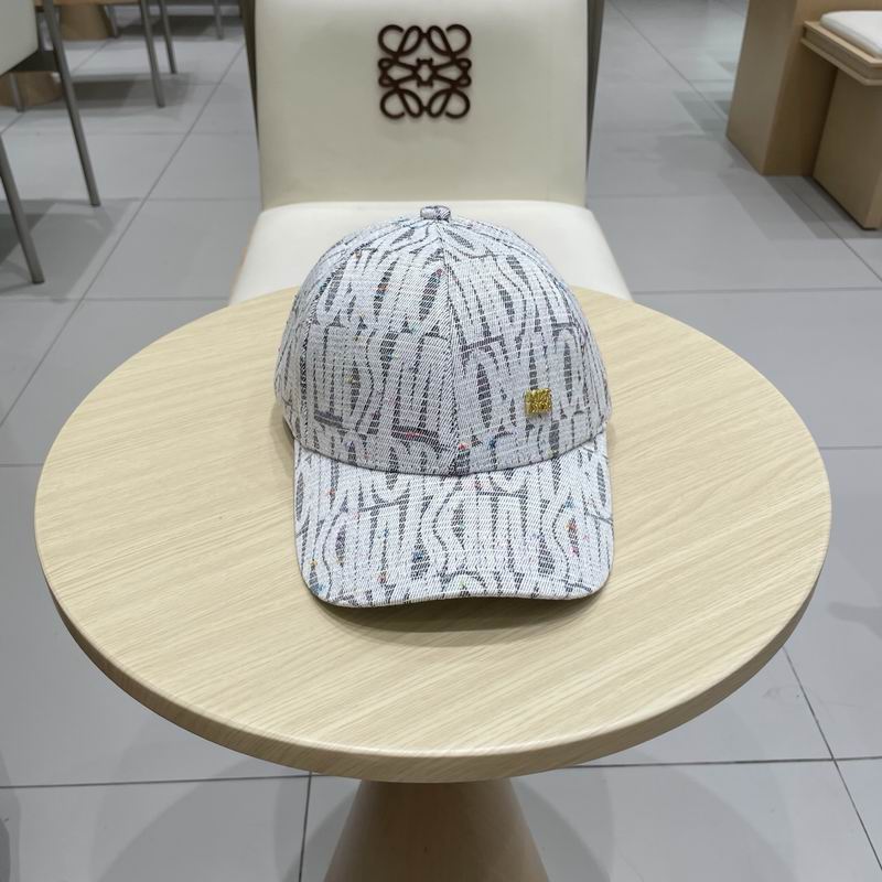 Dior cap (351)
