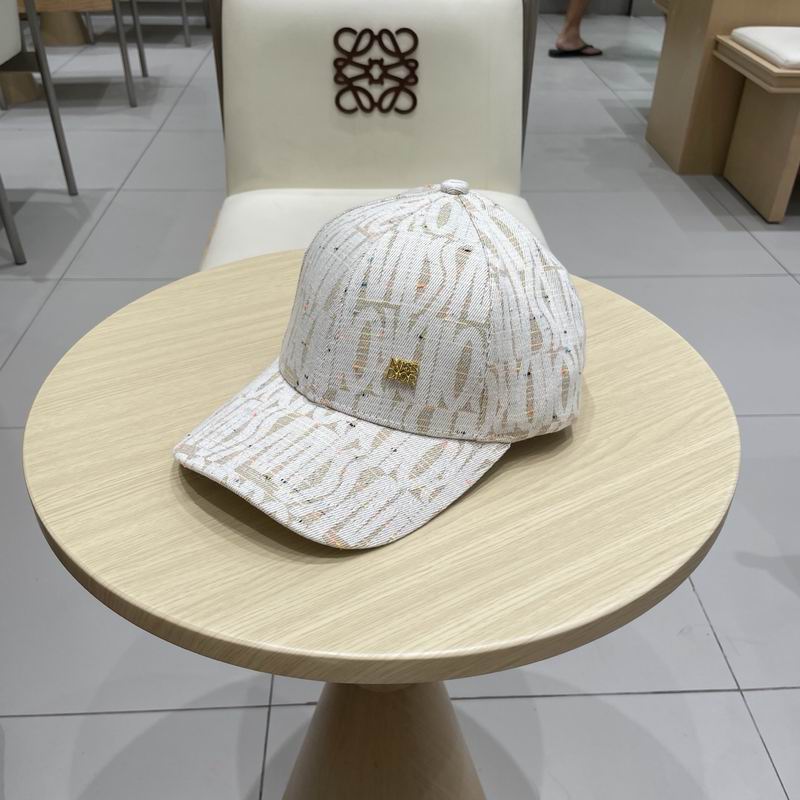 Dior cap (359)