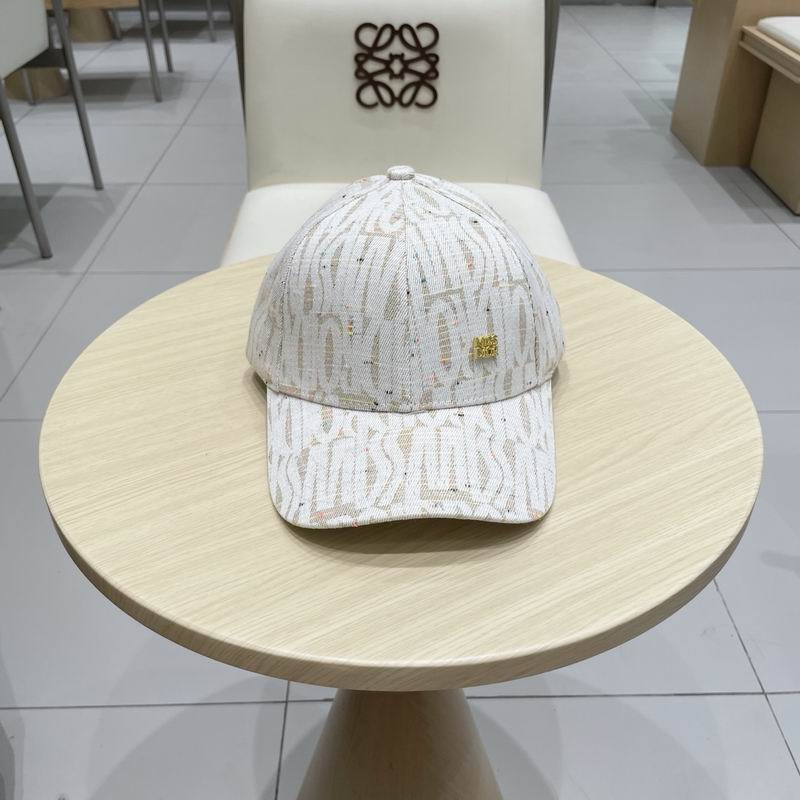 Dior cap (360)