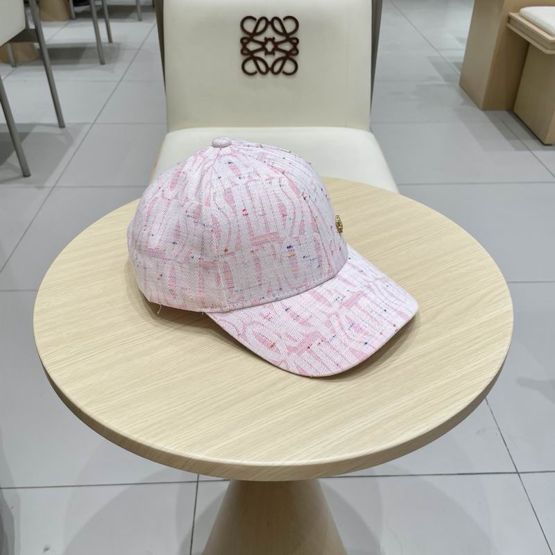 Dior cap (376)