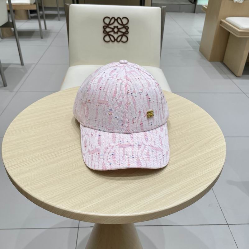 Dior cap (378)