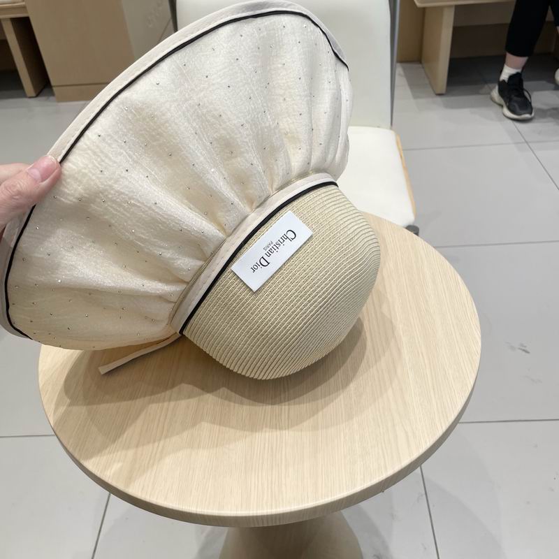 Dior hat (101)