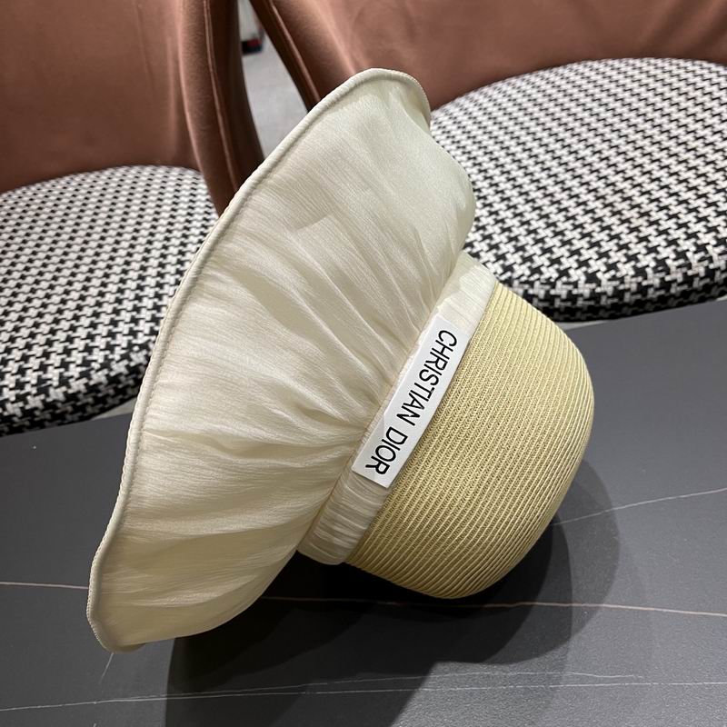 Dior hat (142)