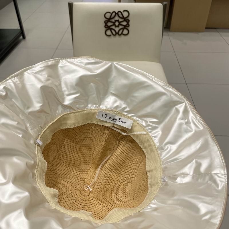 Dior hat (28)