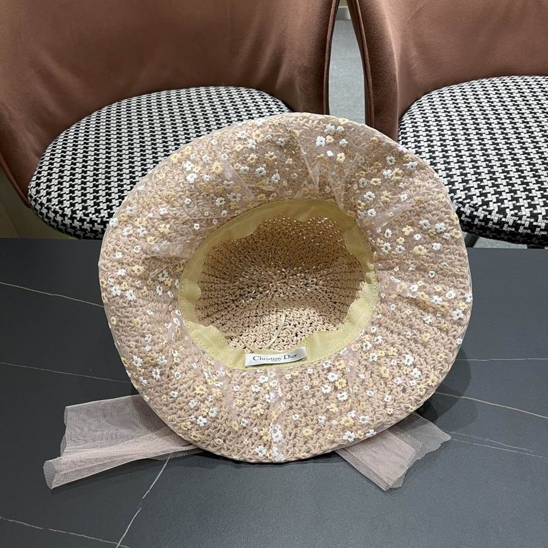 Dior hat (489)