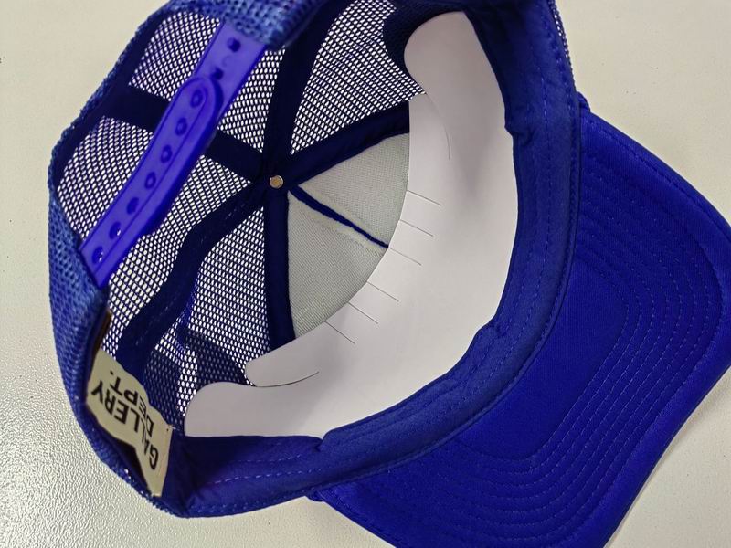 Gallery dept cap   (57)