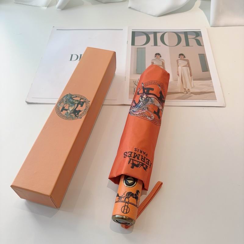 Hermes Umbrella (10)