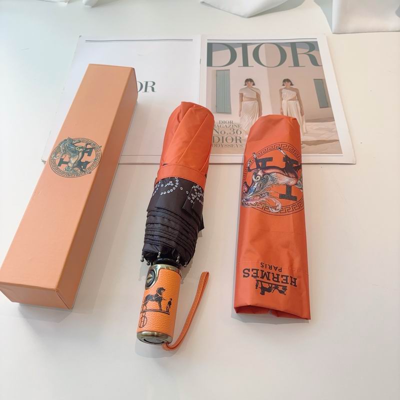 Hermes Umbrella (11)