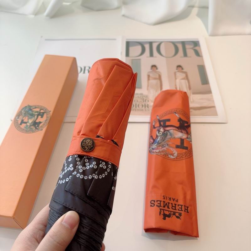 Hermes Umbrella (12)