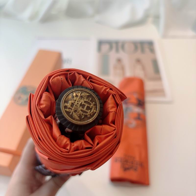 Hermes Umbrella (13)