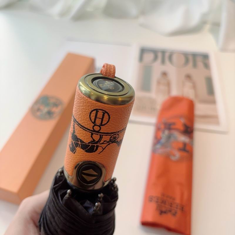 Hermes Umbrella (14)
