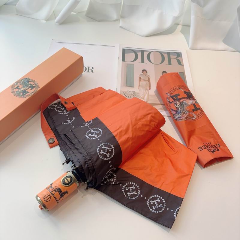 Hermes Umbrella (15)