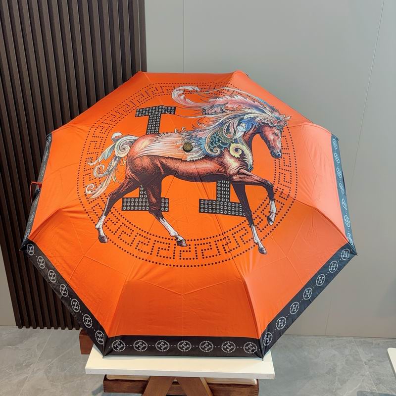 Hermes Umbrella (16)