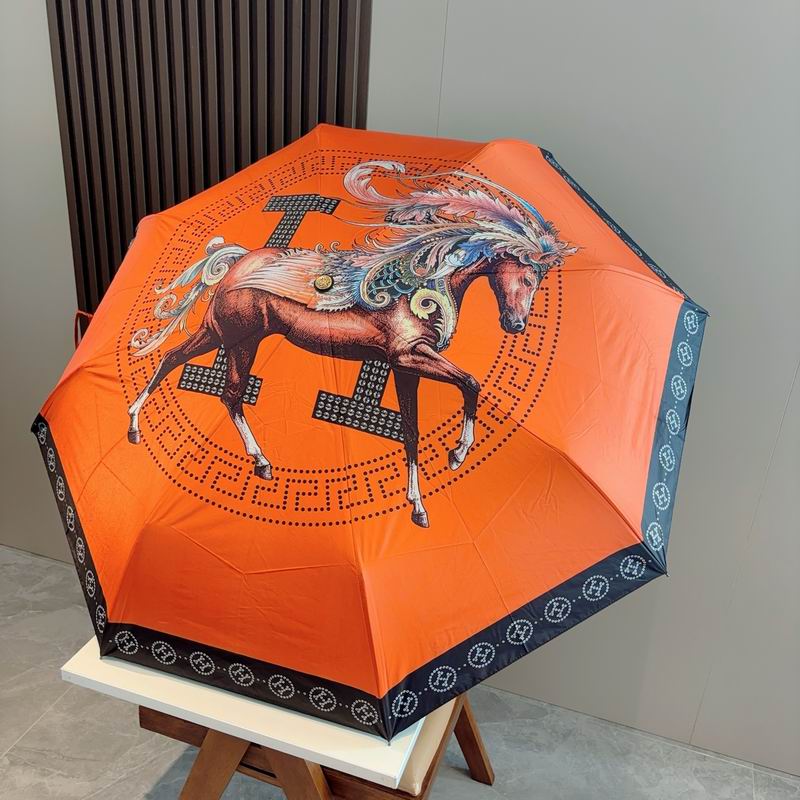 Hermes Umbrella (17)