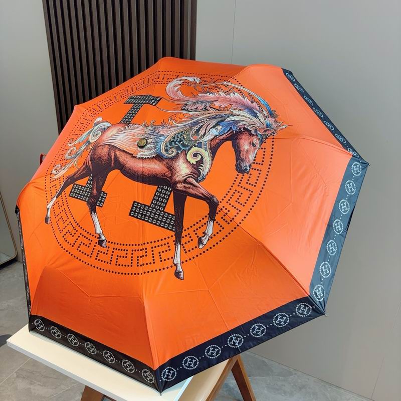 Hermes Umbrella (18)