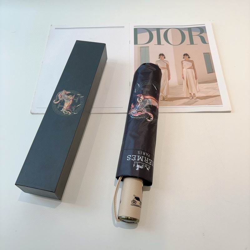 Hermes Umbrella (19)