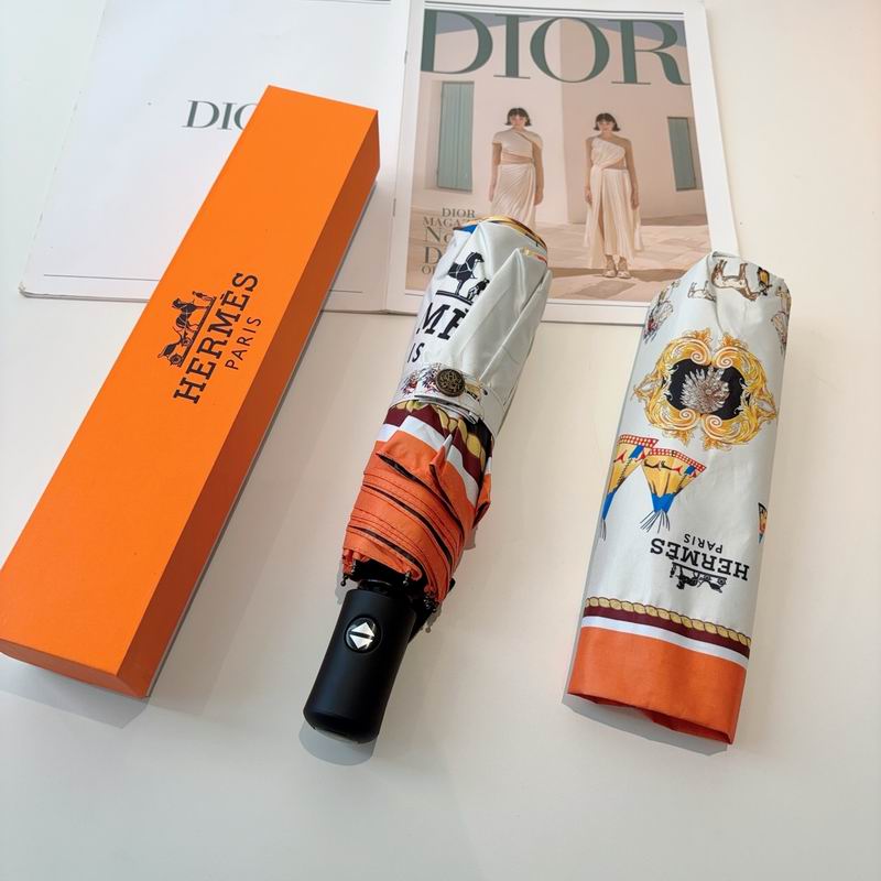 Hermes Umbrella (2)